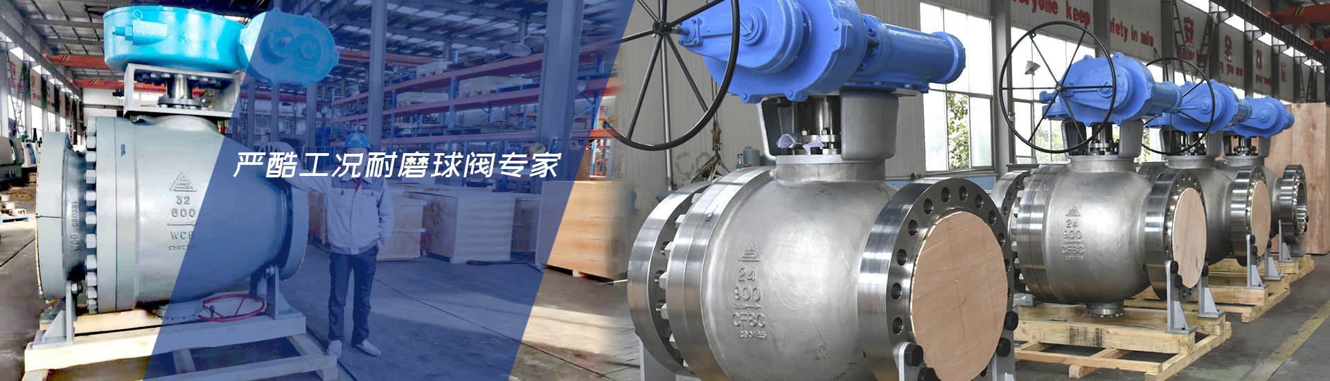 jinnian金年会有限公司